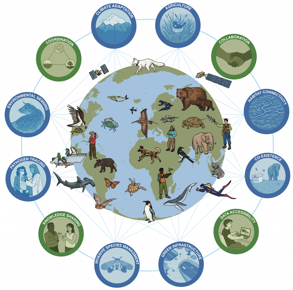 An illustrated globe is populated by multiple species of animals with biologging devices attached. The globe is surrounded by icons indicating the goals and mission of Move BON.