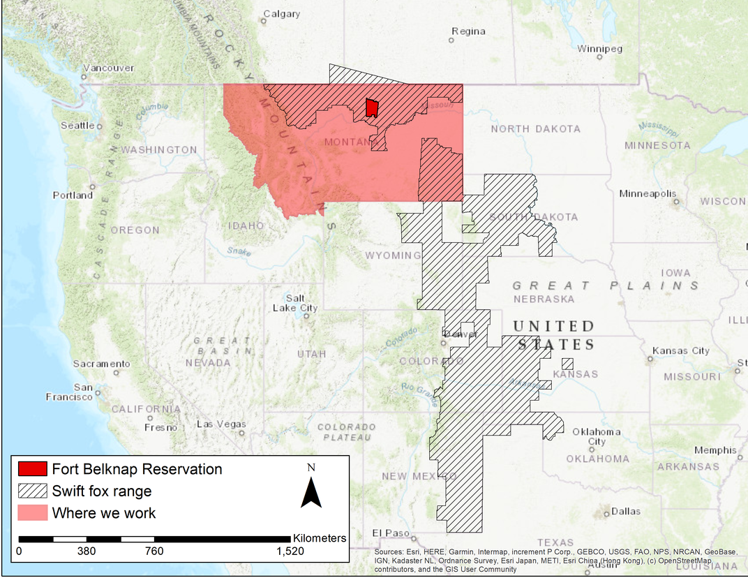 Swift Fox location map